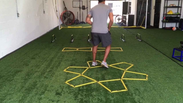 Agility Trainer Pro